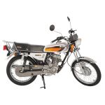 موتورسیکلت ساوین مدل mkz169 سال 1399)